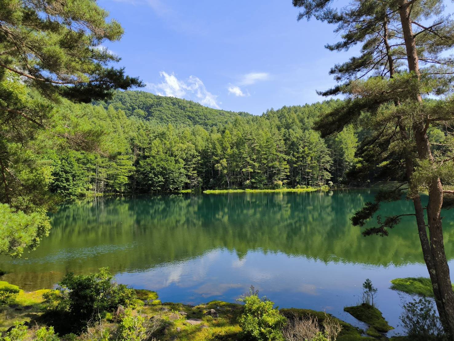 相模原周辺の自然豊かな風景